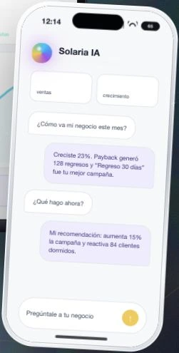 Solaria App phone interface showing business insights and AI recommendations